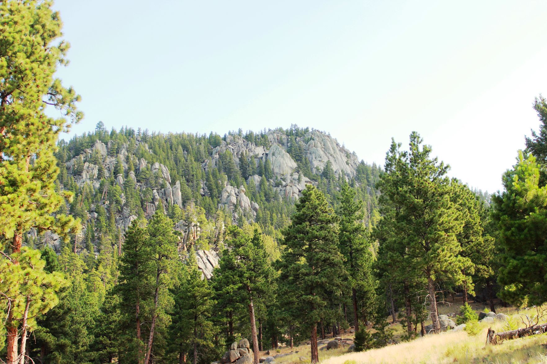 Sheep Mountain